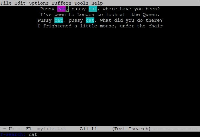 The word 'cat' is highlighted after inputting the search term 'cat' in a forward search in the mini-buffer.