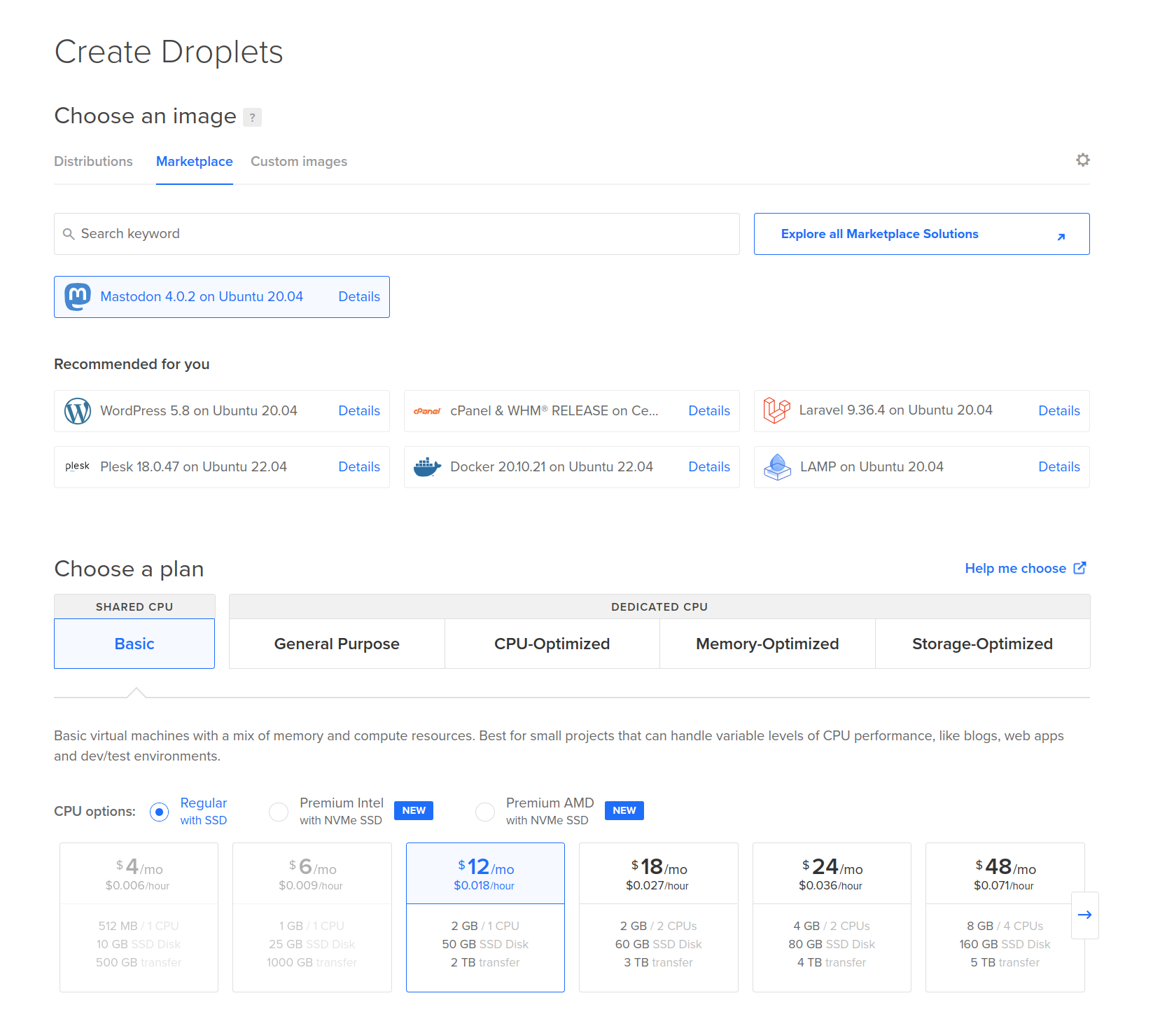 Your Silicon Cloud control panel with the Mastodon version 4.0.2 image selected.