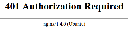 Nginx unauthorized error