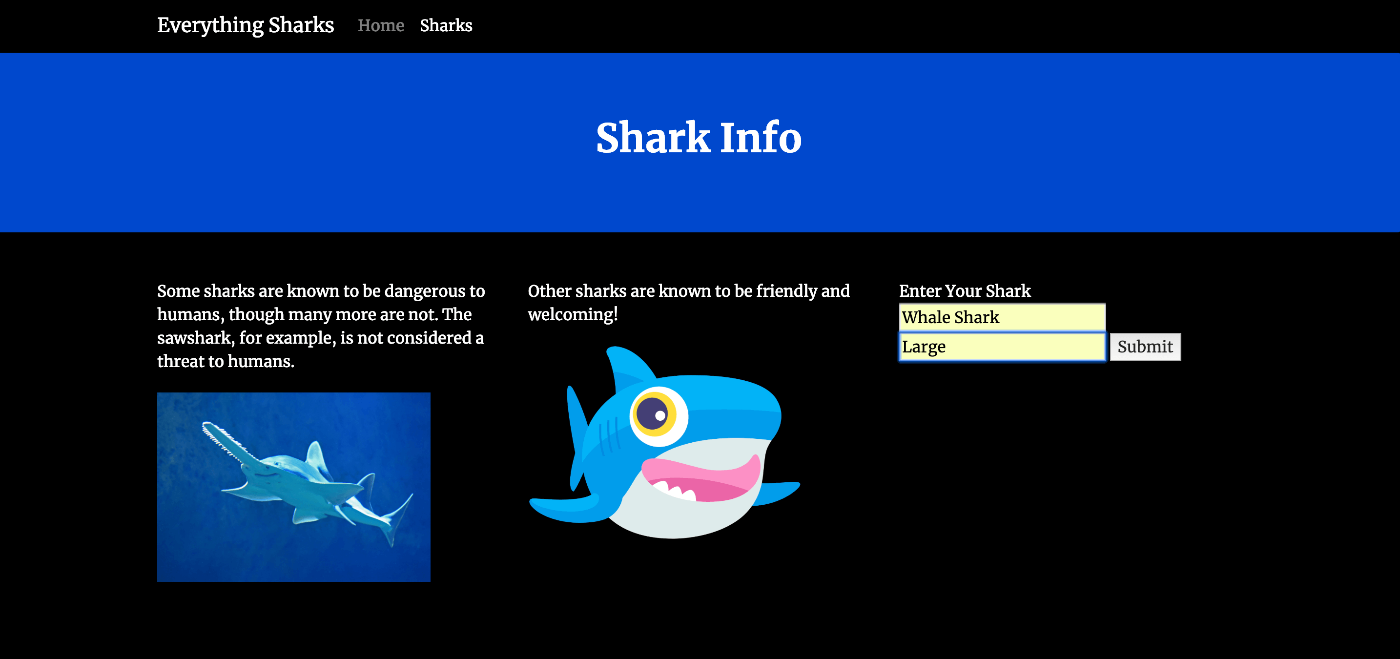 Enter New Shark