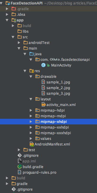 android face detection api project structure