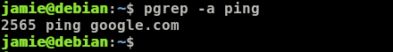 Pgrep Ping Google