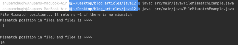 Java File Mismatch Example Program Output