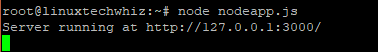Running Node Js Application